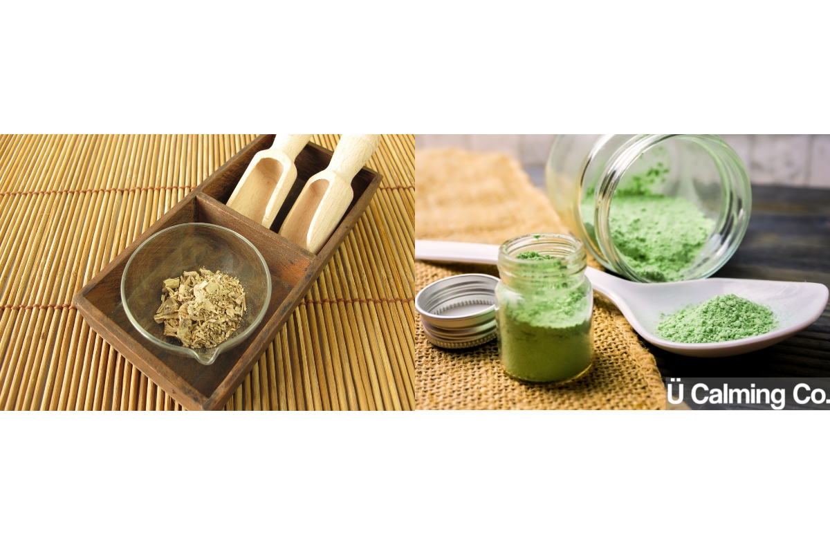 Kava vs. Kratom: An Analysis featured image