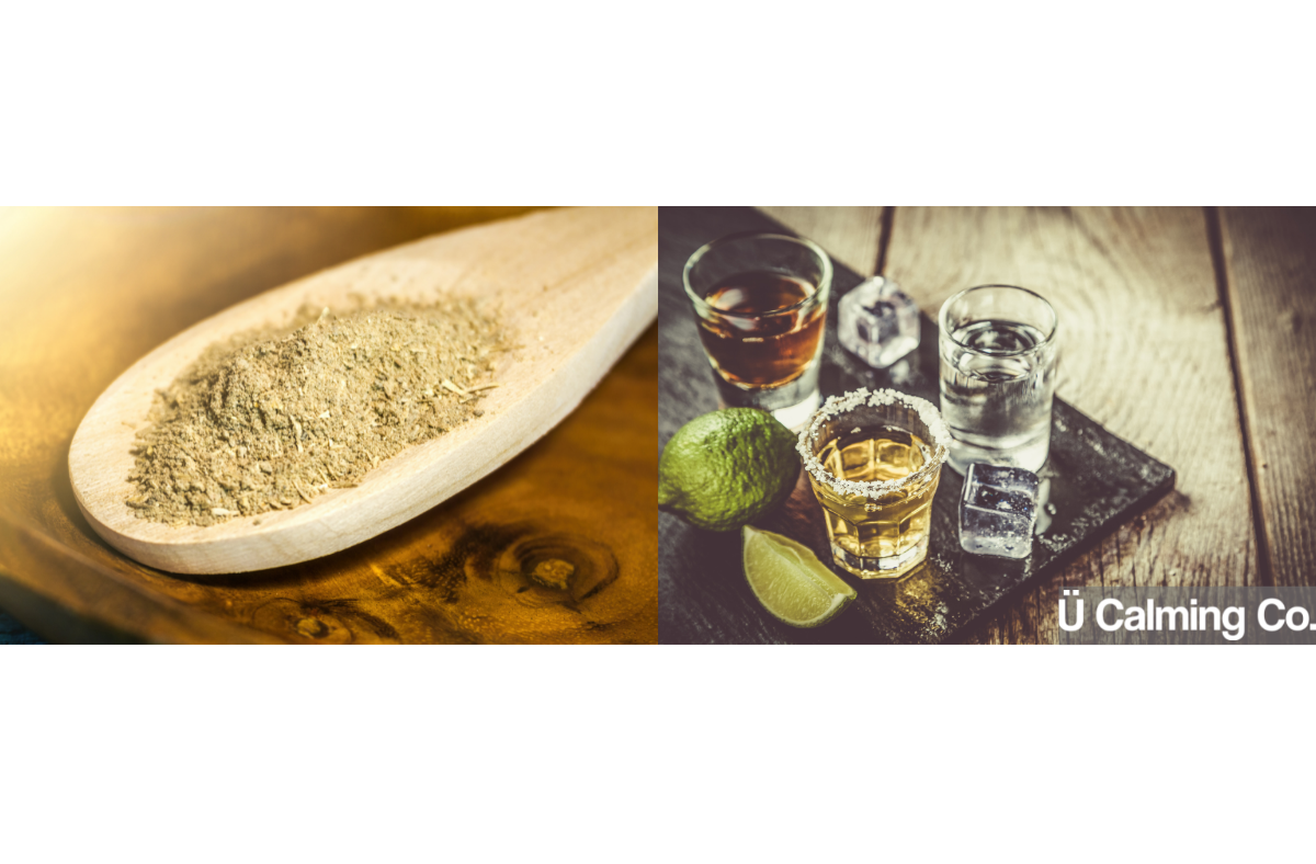 Kava Vs Alcohol featured image